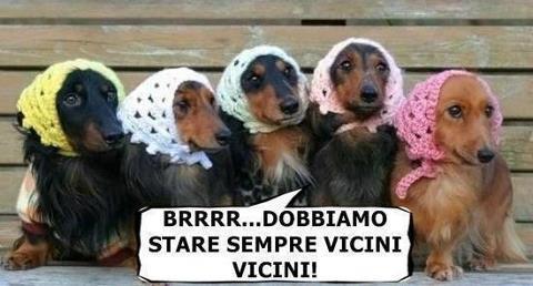 Immagine Divertente - 28/01/2013